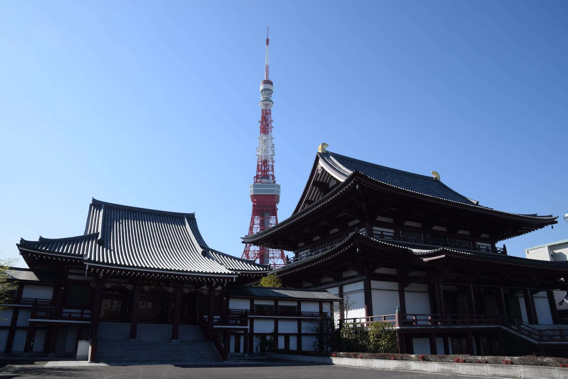 tokyo tower behind black and white dojo building during daytime